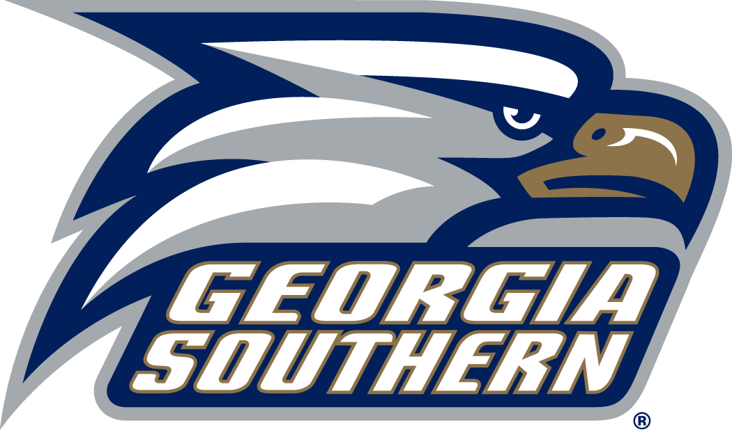 Georgia Southern Eagles 2010-Pres Primary Logo DIY iron on transfer (heat transfer)